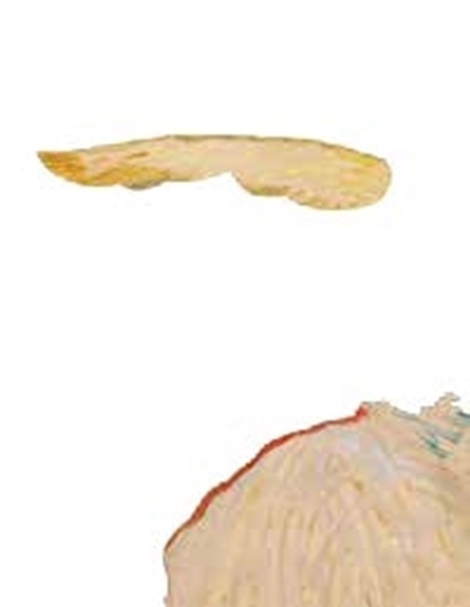 Afbeelding van Until the Colours Sing