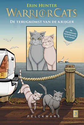 Afbeeldingen van Warrior Cats De terugkomst van de krijger 3 Grijsstreeps terugkeer