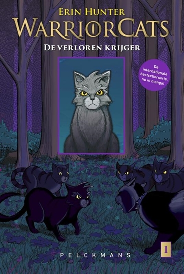 Afbeelding van Warrior Cats De verloren krijger 1 Grijsstreeps terugkeer