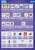 Afbeelding van Taaljacht Groep 8 spelling & grammatica categoriekaarten en stappenplan (set)