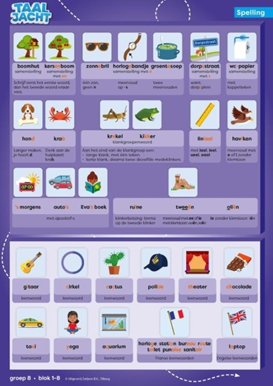Afbeelding van Taaljacht Groep 8 spelling & grammatica categoriekaarten en stappenplan (set)