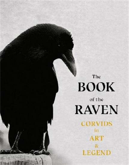 Afbeelding van The Book of the Raven
