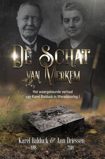 Afbeelding van De schat van Merkem