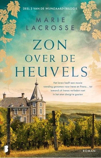 Afbeelding van Wijngaard Zon over de heuvels