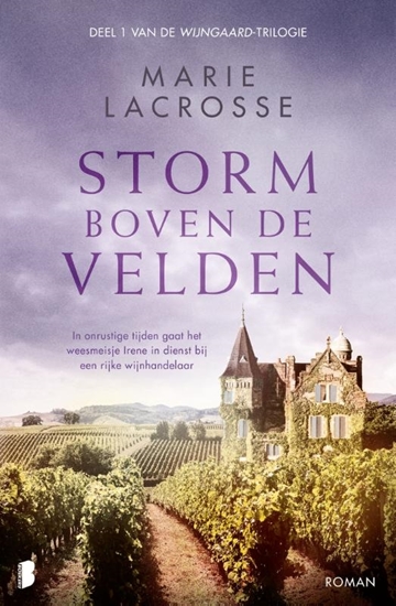 Afbeelding van Wijngaard Storm boven de velden