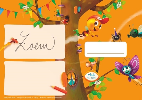 Afbeelding van Veilig leren lezen