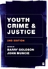 Afbeelding van Youth Crime and Justice