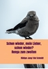 Afbeelding van der zweite teil