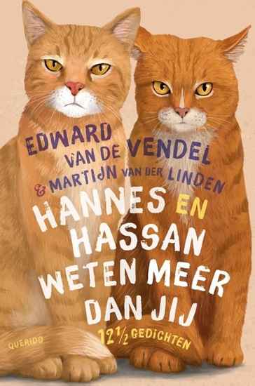 Afbeelding van 12 1/2 gedichten Hannes en Hassan weten meer dan jij