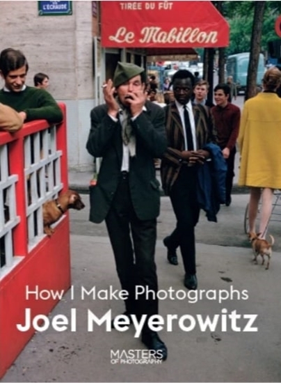 Afbeelding van Joel Meyerowitz