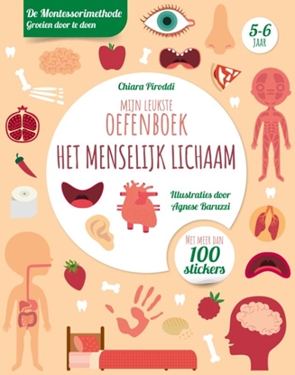 Afbeeldingen van Mijn leukste oefenboek het menselijk lichaam