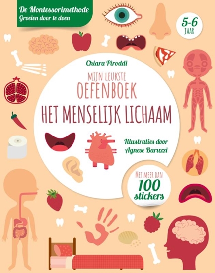 Afbeelding van Mijn leukste oefenboek het menselijk lichaam