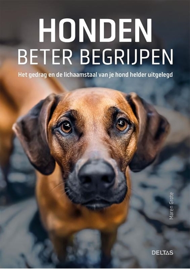 Afbeelding van Honden beter begrijpen