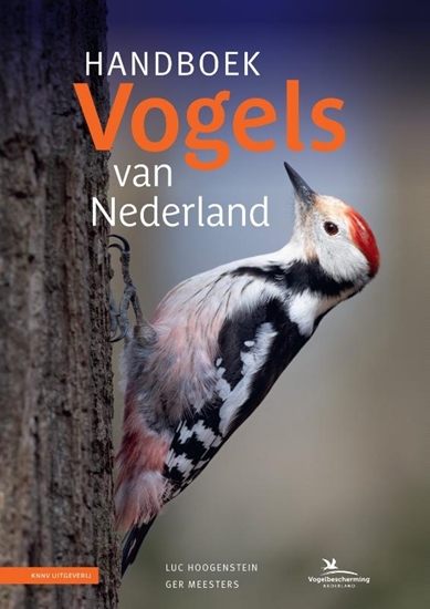 Afbeelding van Handboek Vogels van Nederland