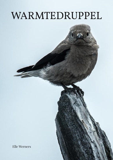 Afbeelding van 9789403753232