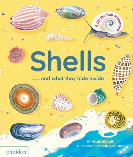 Afbeelding van Shells... and what they hide inside