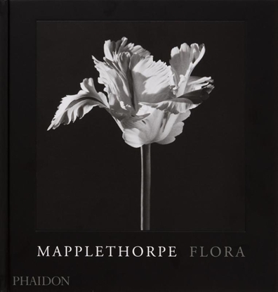 Afbeeldingen van Mapplethorpe Flora