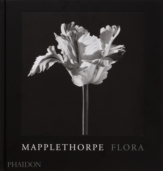 Afbeelding van Mapplethorpe Flora