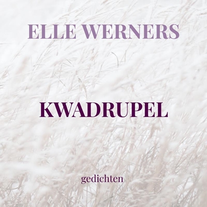 Afbeeldingen van POËZIE