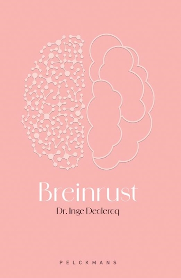 Afbeelding van Breinrust