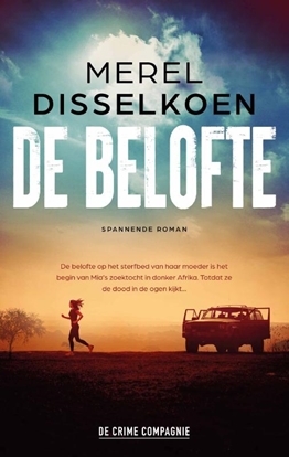 Afbeeldingen van De belofte