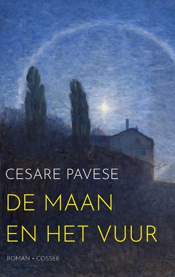 Afbeelding van De maan en het vuur