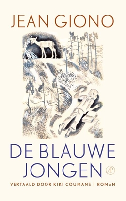 Afbeeldingen van De blauwe jongen