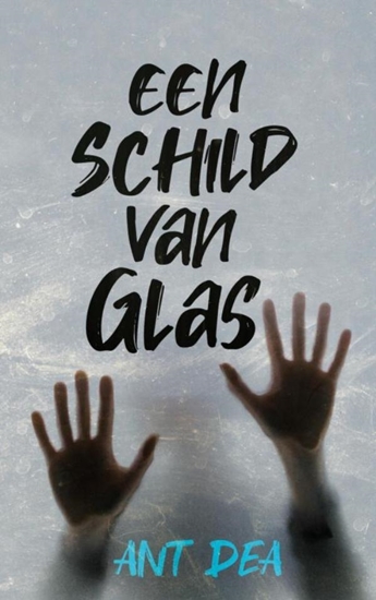 Afbeelding van Een schild van glas