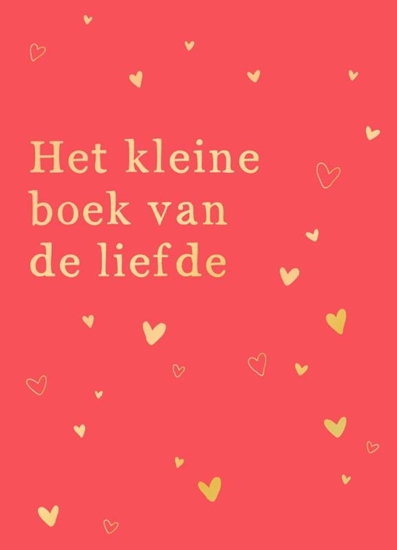 Afbeelding van het kleine boek van de liefde