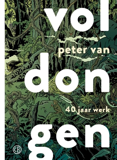 Afbeelding van Voldongen