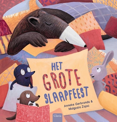 Afbeeldingen van Het grote slaapfeest