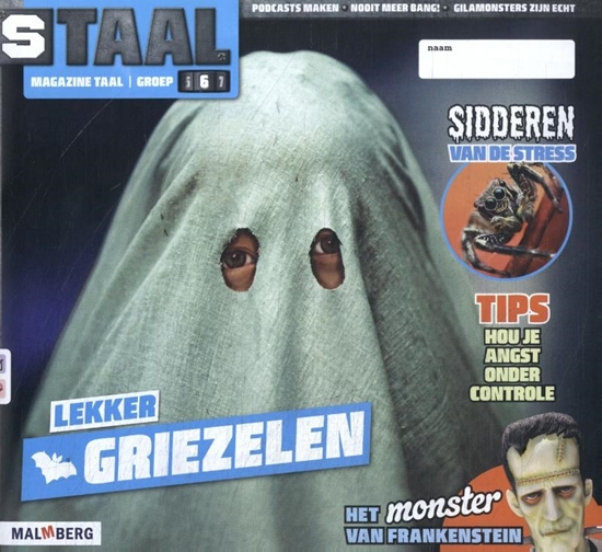 Afbeelding van Staal groep 6