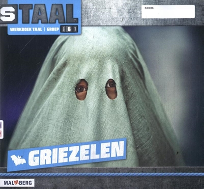 Afbeeldingen van Staal groep 6 werkboek