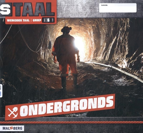 Afbeelding van Staal 3 Ondergronds + 4 Muziek groep 6 Werboek taal
