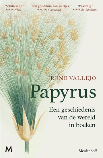 Afbeelding van Papyrus