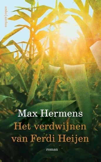 Afbeelding van Het verdwijnen van Ferdi Heijen