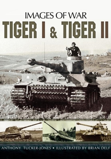 Afbeelding van Tiger I and Tiger II