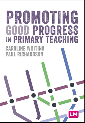 Afbeeldingen van Promoting Good Progress in Primary Schools