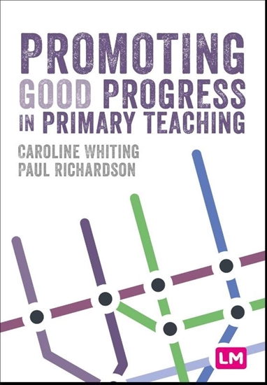 Afbeelding van Promoting Good Progress in Primary Schools