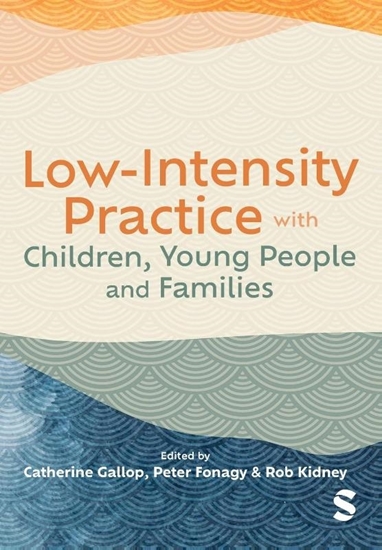 Afbeelding van Low-Intensity Practice with Children, Young People and Families