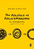 Afbeelding van The Politics of Policymaking