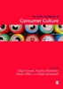 Afbeelding van The SAGE Handbook of Consumer Culture