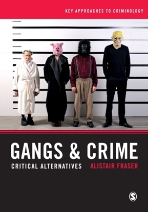 Afbeeldingen van Gangs & Crime: Critical Alternatives