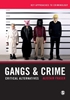 Afbeelding van Gangs & Crime: Critical Alternatives