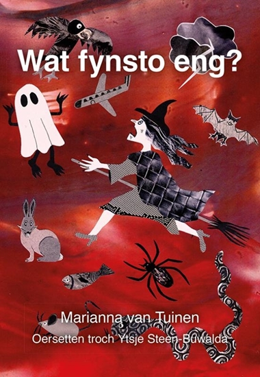 Afbeelding van Wat fynsto eng?