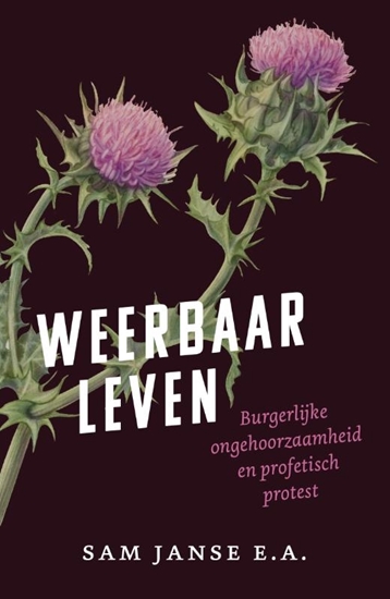 Afbeelding van Weerbaar leven