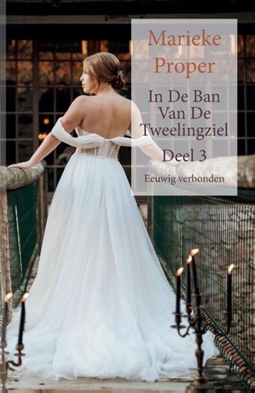 Afbeelding van In de ban van de tweelingziel Eeuwig verbonden