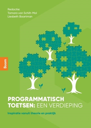 Afbeeldingen van Programmatisch toetsen: een verdieping