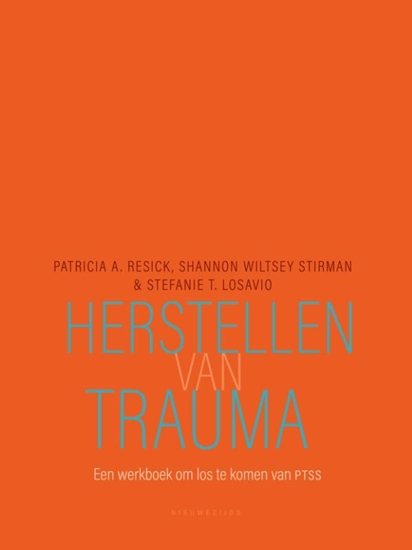 Afbeelding van Herstellen van trauma