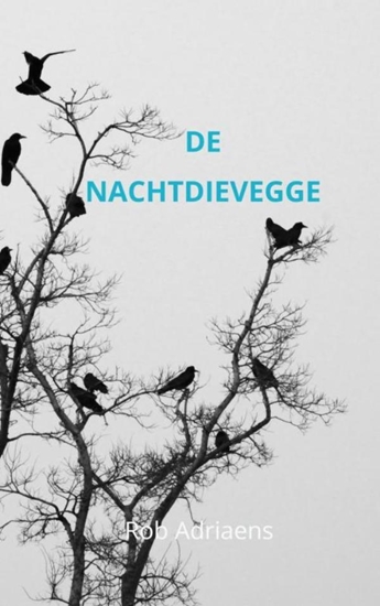 Afbeelding van De Nachtdievegge